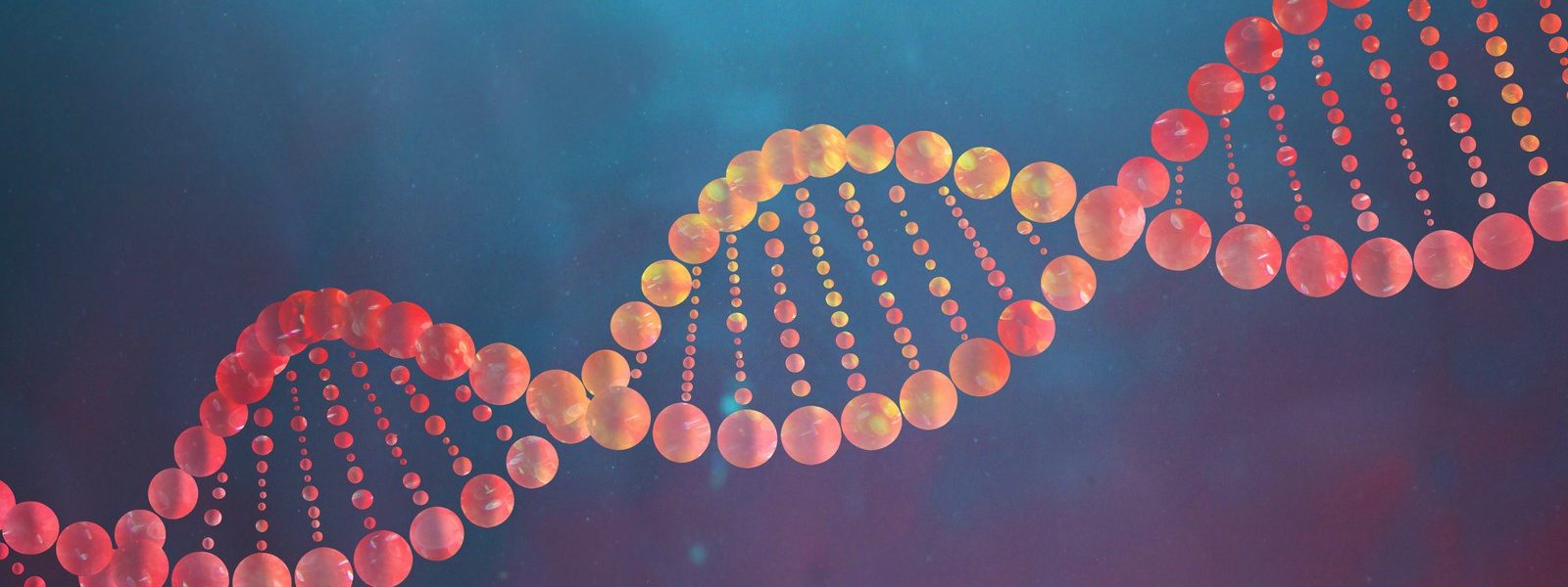 Fakten über DNA